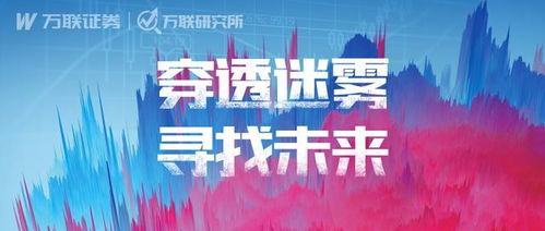 萬聯(lián)證券年度A股投資策略報(bào)告 紡織服裝行業(yè)投資管理與咨詢深度解讀